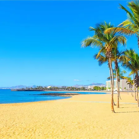 巴塞罗特吉塞海滩酒店 - 仅限成人 酒店 4*