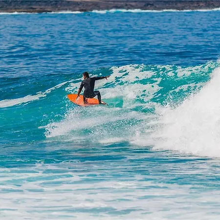 巴塞罗特吉塞海滩酒店 - 仅限成人 酒店 科斯塔特吉塞